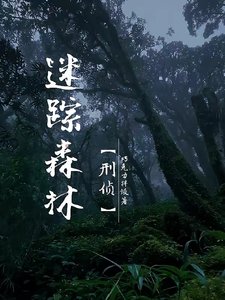 迷踪森林【刑侦】