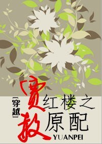 (BG/红楼同人)穿越红楼之贾赦原配
