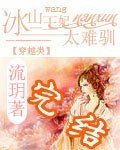 冰山王妃太難馴